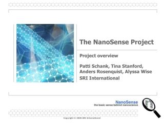 The NanoSense Project