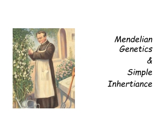 Mendelian Genetics  &amp;  Simple  Inhertiance