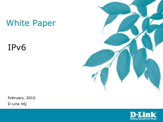 White Paper