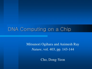 DNA Computing on a Chip