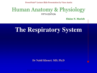 The Respiratory System