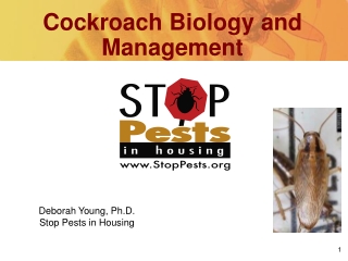 Cockroach Biology and Management
