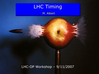 LHC Timing M.  Albert