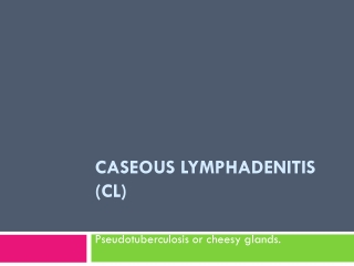 Caseous  lymphadenitis (CL)