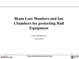 Beam Loss Monitor