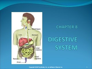 CHAPTER 8 DIGESTIVE  SYSTEM