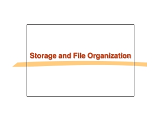 Storage and File Organization