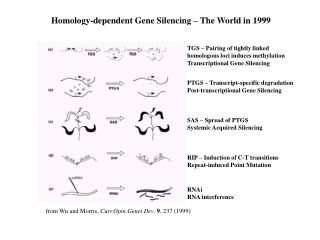 from Wu and Morris,  Curr.Opin.Genet.Dev .  9 , 237 (1999)