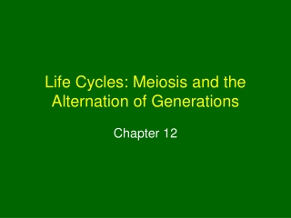 Life Cycles: Meiosis and the Alternation of Generations