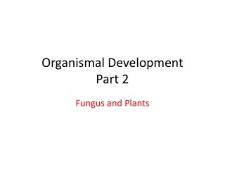 Organismal Development Part 2