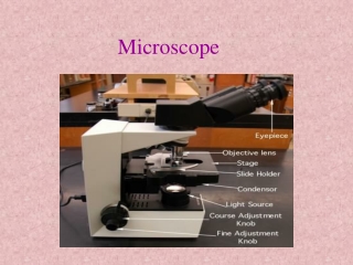 Microscope