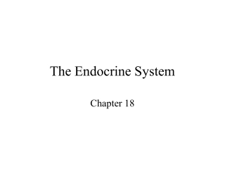 The Endocrine System