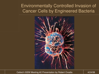 Environmentally Controlled Invasion of Cancer Cells by Engineered Bacteria