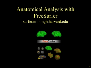 Anatomical Analysis with  FreeSurfer surfer.nmr.mgh.harvard