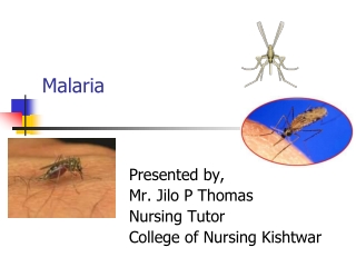 Malaria