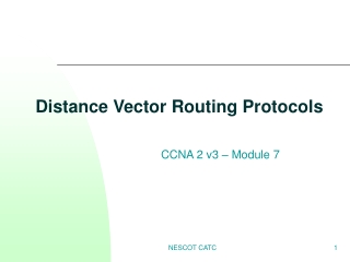 Distance Vector Routing Protocols