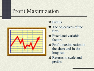 Profit Maximization