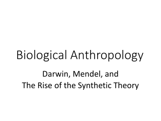 Biological Anthropology