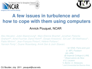 A few issues in turbulence and  how to cope with them using computers