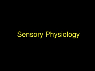 Sensory Physiology