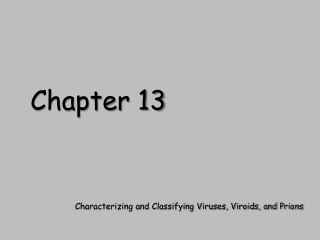 Chapter 13