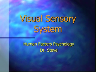 Visual Sensory System