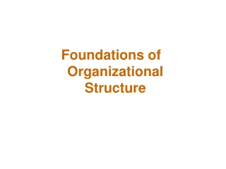 Foundations of Organizational Structure