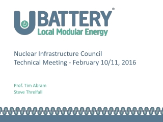 Nuclear Infrastructure Council Technical Meeting -  February  10/11, 2016