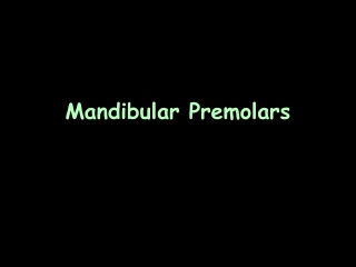 Mandibular Premolars