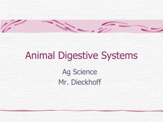 Animal Digestive Systems