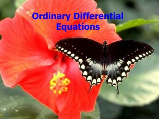 Ordinary Differential Equations