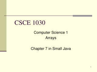 CSCE 1030