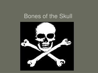 Bones of the Skull