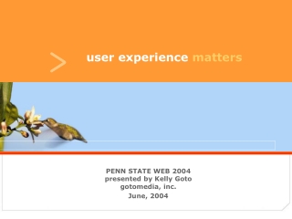 user  experiences