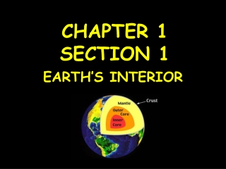 CHAPTER 1  SECTION 1