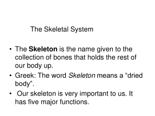 The Skeletal System