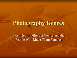 Photography Genres