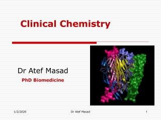 Dr Atef Masad PhD Biomedicine