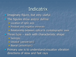 Indicatrix