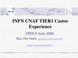 INFN CNAF TIER1 Castor Experience