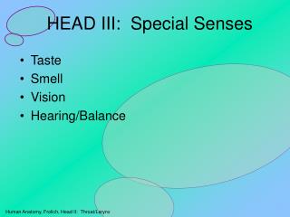 HEAD III: Special Senses