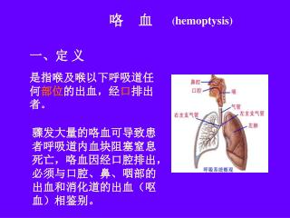 一、定 义 是指喉及喉以下呼吸道任何 部位 的出血，经 口 排出者 。