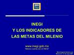 INEGI Y LOS INDICADORES DE LAS METAS DEL MILENIO