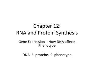 Chapter 12: RNA and Protein Synthesis
