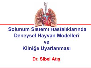 Solunum Sistemi Hastalıklarında Deneysel Hayvan Modelleri ve Kliniğe Uyarlanması