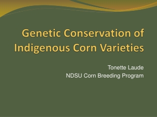 Genetic Conservation of Indigenous Corn Varieties