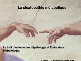 Le trait d’union entre Hépatologie et Endocrino-Diabétologie. J.. DENIS – O. THURNINGER Mars 2011