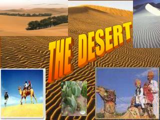 THE DESERT