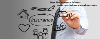 Zena The Insurance Princess