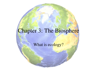 PPT - Chapter 3: The Biosphere PowerPoint Presentation, Free Download ...